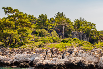 Summer Landscape green island with hills