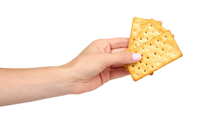 Hand with salty cracker, crispy appetizer, rectangle shape cookie. Isolated