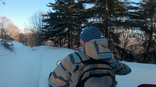 snowmobiling in forest