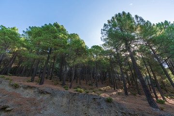 mountainous area near Trevelez (Spain)