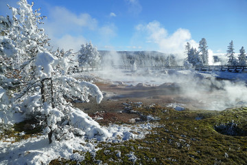 Colourful winter with warm ground around thermal springs in Yellowstone National Park