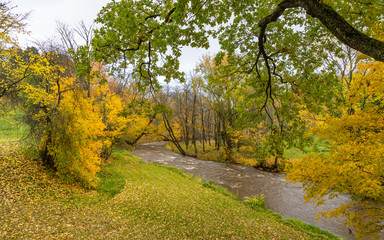 Beautiful Autumn forest in raining day