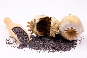 Closeup of ripe dry poppy (Papaver sp.) seed head and seeds isolated