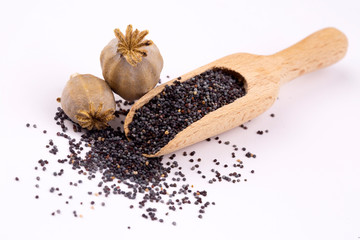 Closeup of ripe dry poppy (Papaver sp.) seed head and seeds isolated