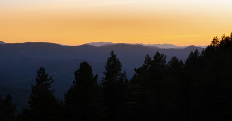 forest at sunset in the natural park of Aiako Harriak