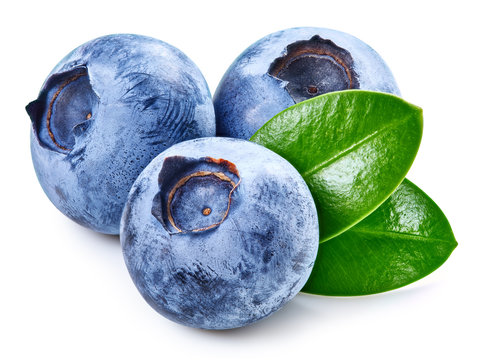 Blueberries and leaves isolated on white. Tasty blueberry Clipping Path. Fresh ripe blueberry