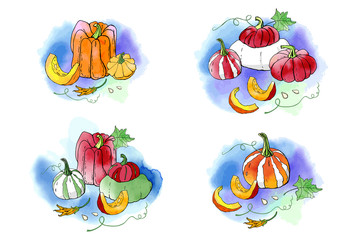 Collection of autumn pumpkin compositions with watercolor texture. Fall harvest. Vector set. Cute icons for postcards, greetings, cards, logo. Food background. Hand drawn. Halloween, thanksgiving.