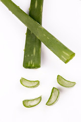 Fresh aloe vera on the white background