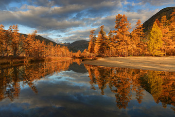 Sunny morning on a quiet river, Purga river, Kolyma, Magadan region