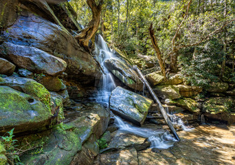 Sun dappled view of Somersby Falls and woods at Somersby, NSW, Australia