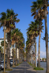 Fototapeta na wymiar The beach promenade of Barcelona, Catalonia - Spain