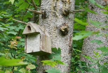 Vogelhaus aus Stein - Nistkasten