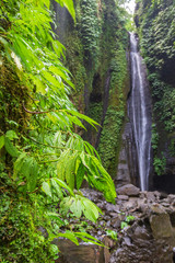 Obraz premium Sekumpul Waterfalls surrounded by tropical forest in Bali, Indonesia.
