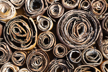 texture, birch bark, creative background