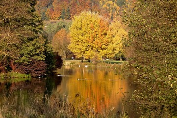 Treuchtlingen - Kurpark im Herbst