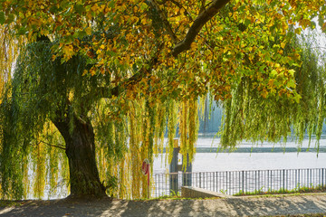 Herbstliches Panorama mit heller Sonne, die durch die Bäume scheint und Reflexionen oder Spiegelungen im Wasser 