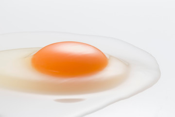 Egg