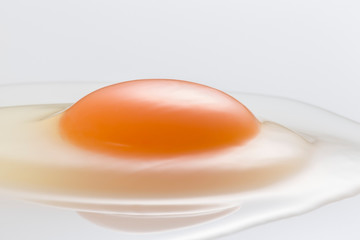 Egg