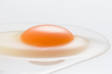 Egg