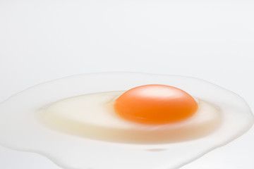 Egg