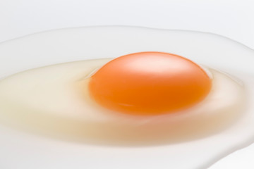 Egg
