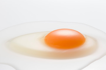 Egg