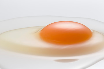 Egg
