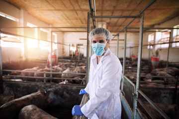 Portrait of veterinarian in white protective suit with hairnet and mask standing in pig pen...