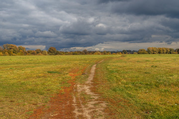 Obraz premium Jesienny krajobraz drogi wiejskiej. Jesienny krajobraz drogi leśnej. Jesienna droga przez pole.