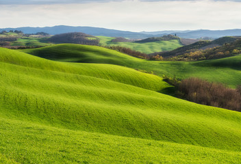 Spring fields in Tuscany / Amazing Tuscany landscape with green rolling hills in spring sunny...