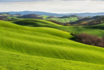 Foto op Aluminium Lente velden in Toscane / Geweldig Toscaans landschap met groene glooiende heuvels in de lente zonnige ochtend © Jess_Ivanova