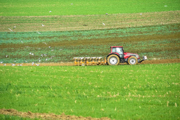 Fototapeta premium beau paysage avec un agriculteur labourant ses champs en automne