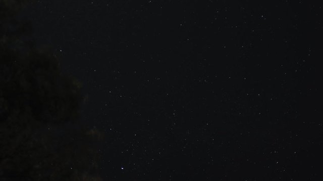 Timelapse of stars moving the sky to the left with tree lighted by campfire