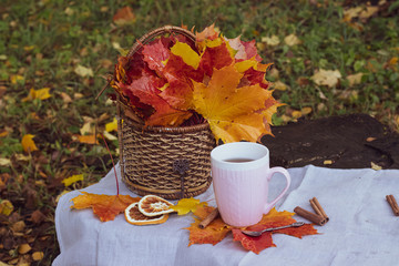 autumn tea party. cup with tea and maple leaves. Maple leaves in a basket.