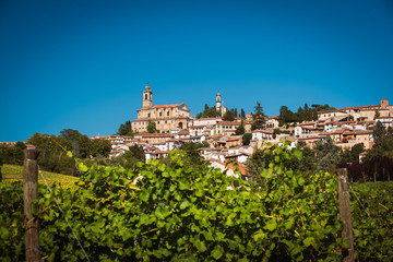 Landscape of Vignale Monferrato, unesco world heritage