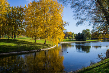 Autumn park with yellow leaves and trees with a river and reflection in the water and blue sky.