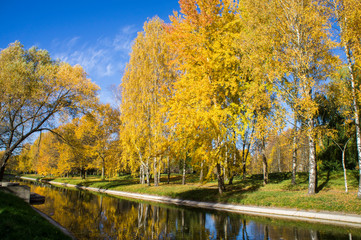 Autumn park with yellow leaves and trees with a river and reflection in the water and blue sky.