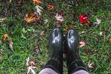 Feet in olive green rubber boots standing on green grass with fallen autumn leaves.