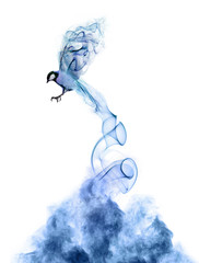 Fototapeta premium flying abstract bird from blue smoke cloud