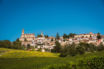 Fototapeta na wymiar Landscape of Vignale Monferrato, unesco world heritage