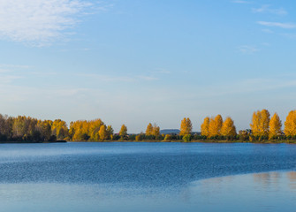 Beautiful blue lake with clear sky. Autumn yellow forest in the distance on the horizon.