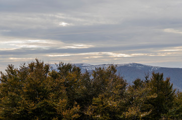Bieszczady panorama z połoniny Caryńskiej