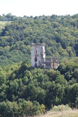 Fototapeta na wymiar castle in Nyrkiv