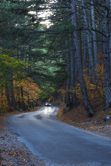 Fototapety na wymiar - Fototapeta24.pl