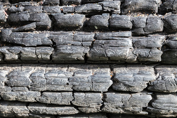 Background of charred logs