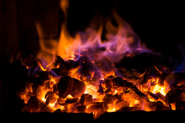 Bright fire burns on coals close-up. Carbon dioxide flies out with a blue spark.