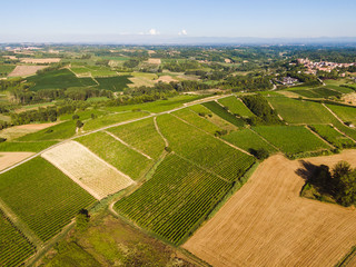 Aerial view of Castagnole Monferrato vineyards and fields, unesco world heritage