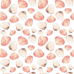 Watercolor illustration of seashells seamless patterns