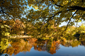 Fototapete bei efototapeten.de bestellen   
