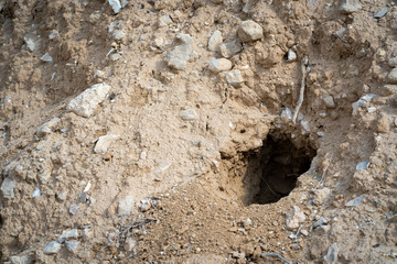 foxhole in the desert